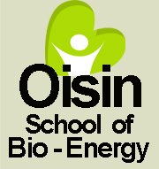 oisin-school-bio-energy