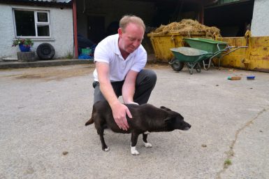 graham-gough-animal-therapy-dog